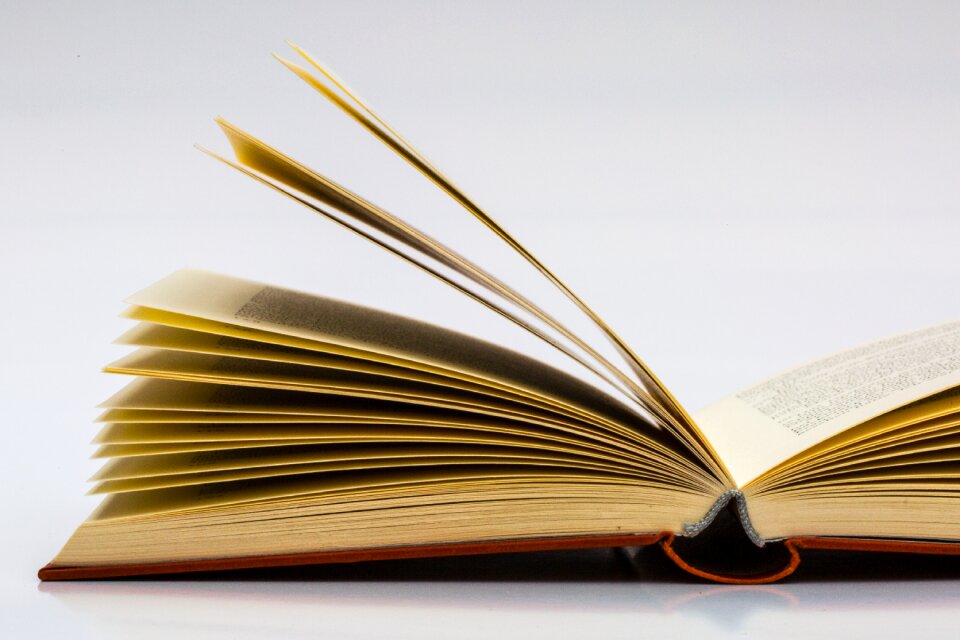 Literature knowledge reading