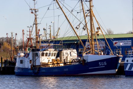 Husum 29.11.2019
