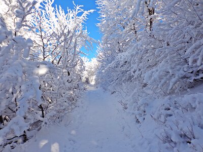 Frost landscape tourism photo