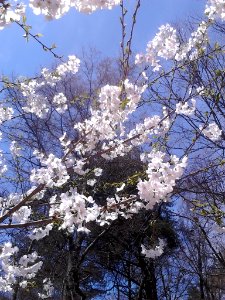 IMG 20150324 125326