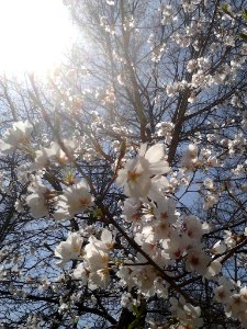 IMG 20150324 125546