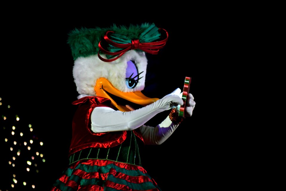 DSC 4250