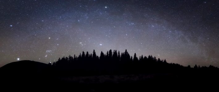 A night in the woods