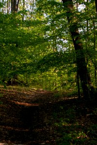 2019 Walk for the Woods Bacon Ridge Natural Area 023