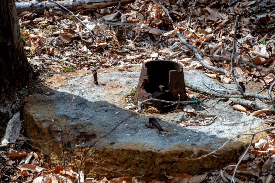 2019 Bacon Ridge History Hike 159