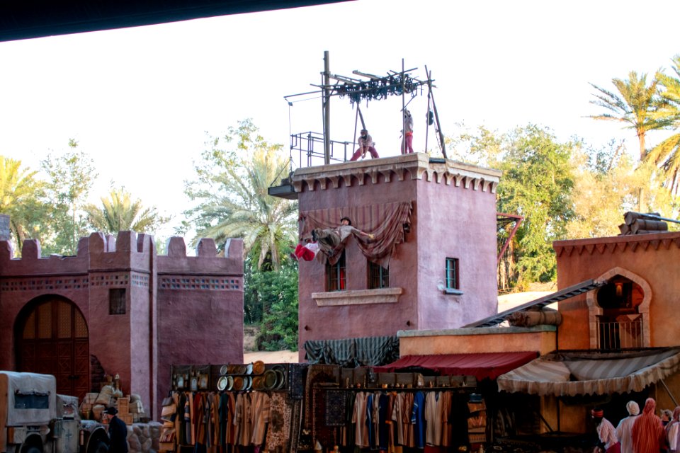 DSC 5815