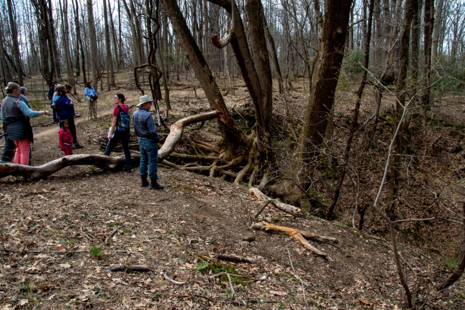 2019 Bacon Ridge History Hike 176