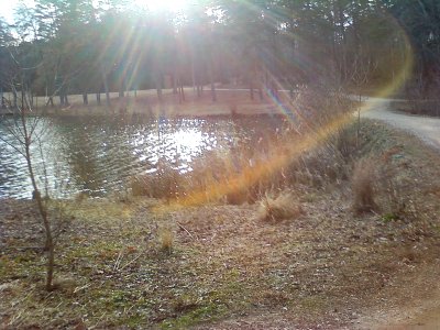 Lensflare