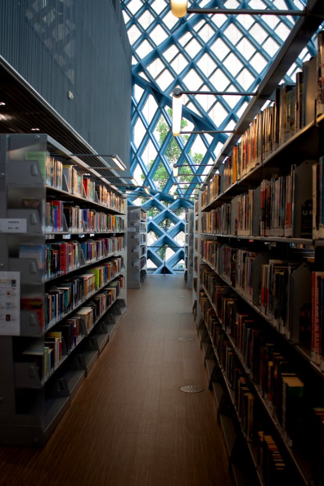seattle library books