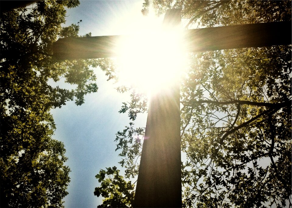 Catholic christian trees