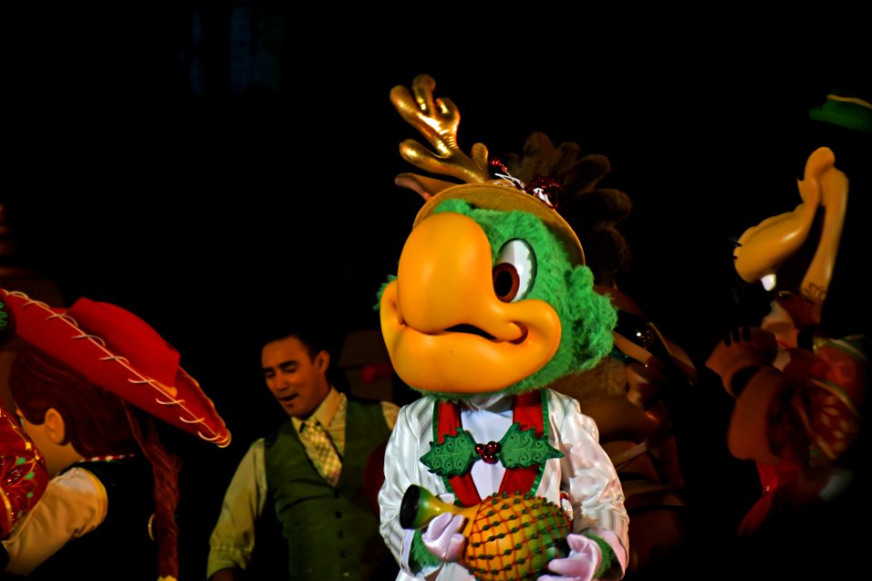 DSC 4299