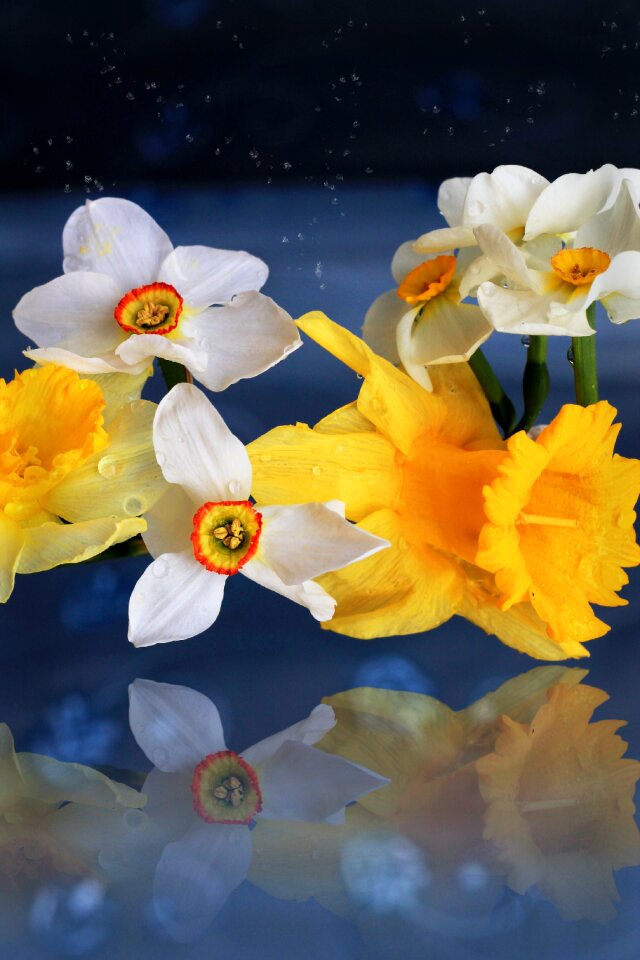 Mirror yellow blue