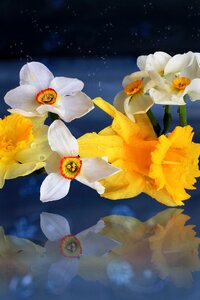 Mirror yellow blue