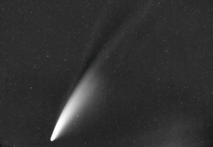 Comet C/2020 F3 (Neowise) photo