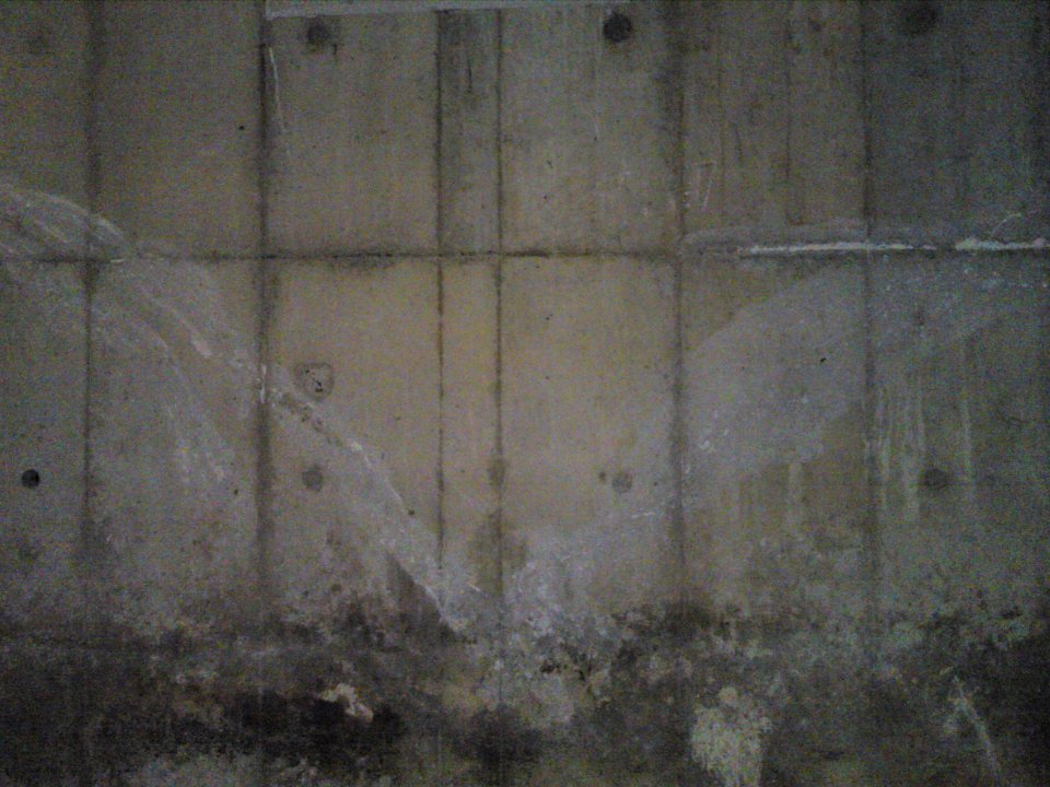 concrete wall01