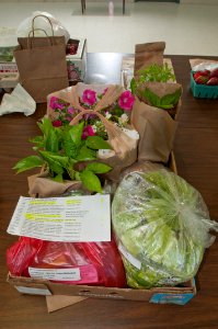 20110505-RD-LSC-1461