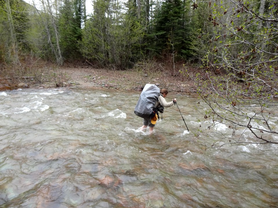 Fording Dean Creek on the Spotted Bear Ranger District in May