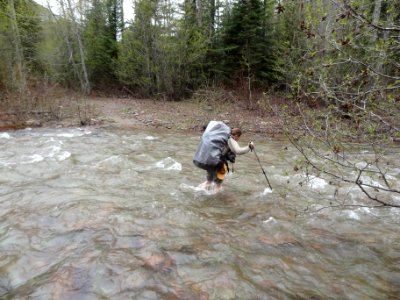 Fording Dean Creek on the Spotted Bear Ranger District in May