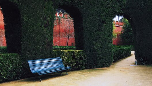 Shrubs path walkway photo