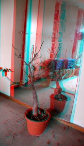 Bonsai 3D 2 redr cyanl color