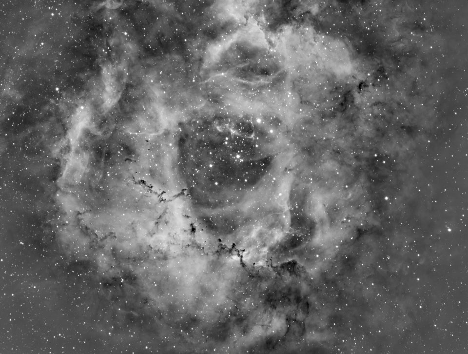 Rosette Nebula (Ha)