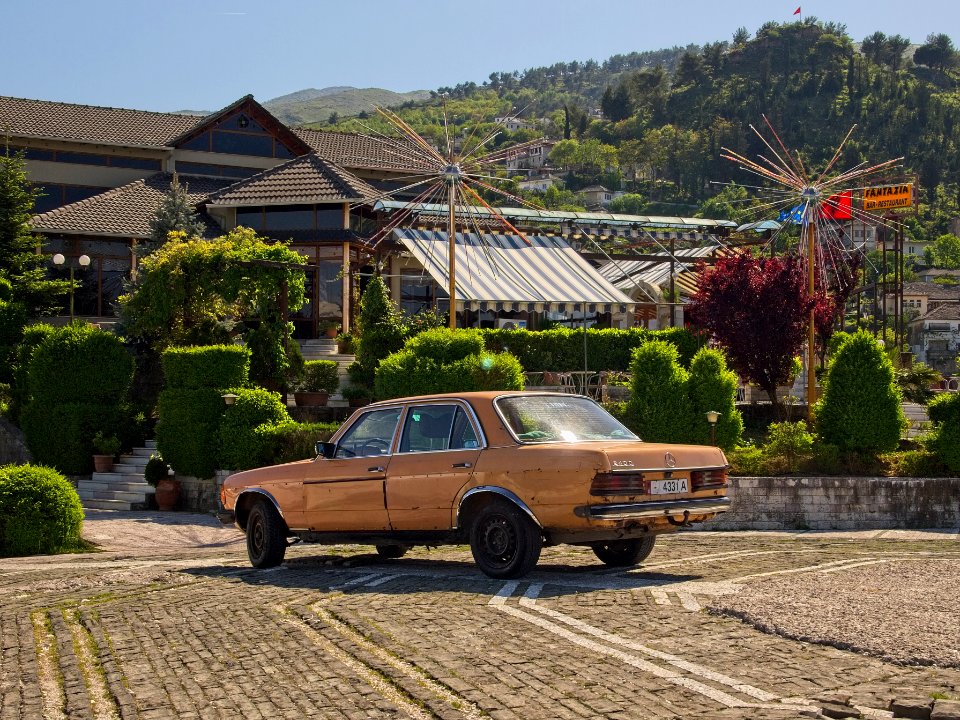 rusty but still reliable w123