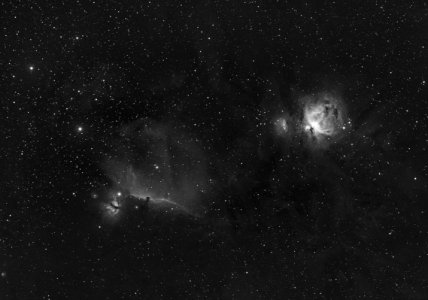 Orion and Horsehead Nebula