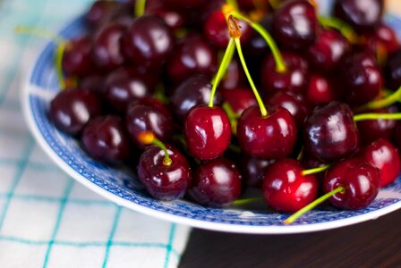 Healthy bowl snack photo