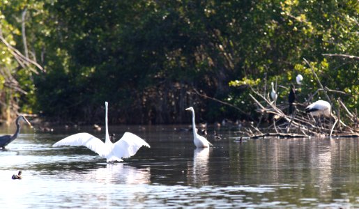 Mrazek Pond