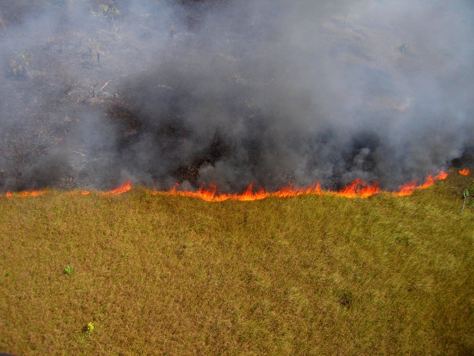 Coastal Prairie Burn13