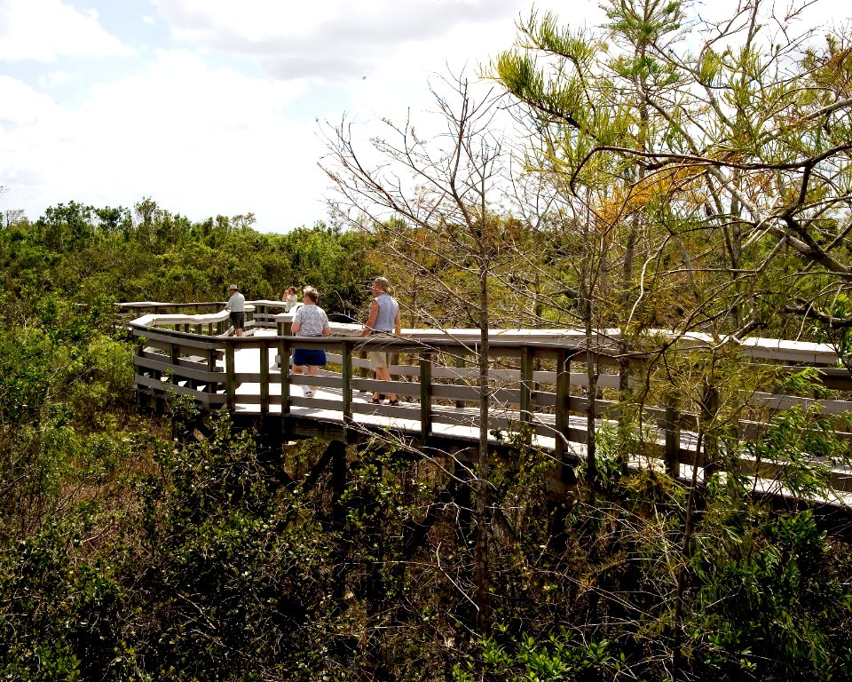Pay-Hay-Okee Boardwalk (6), NPSPhoto