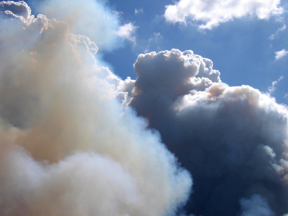 Coastal Prairie Burn44