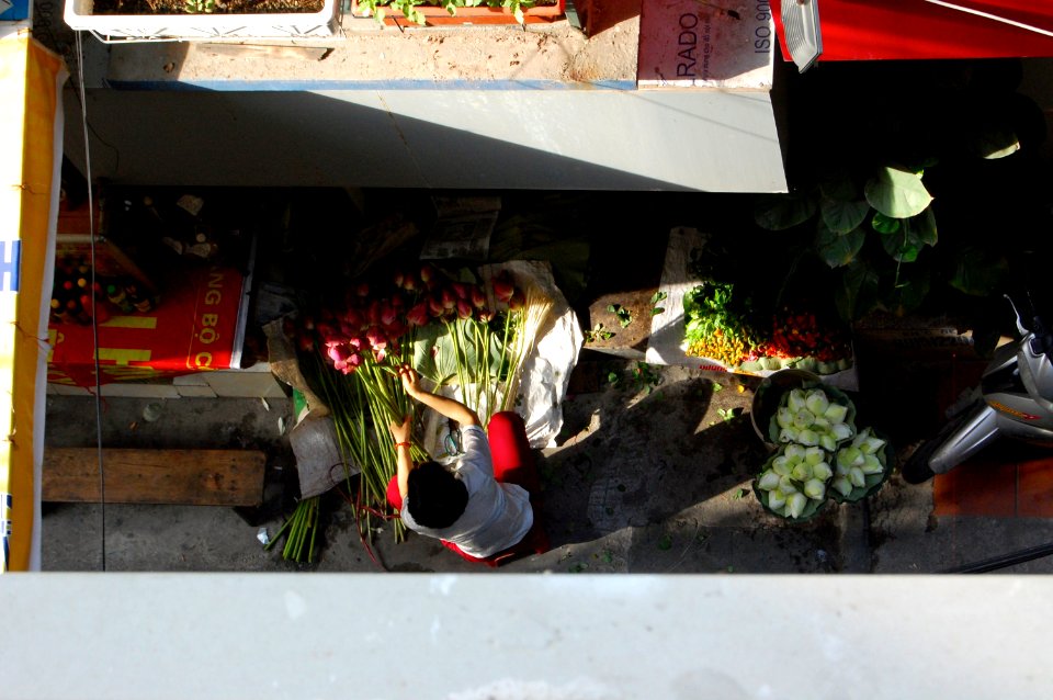 Vietnam 2015 (Hanoi, Halong Bay, Hoi-An)