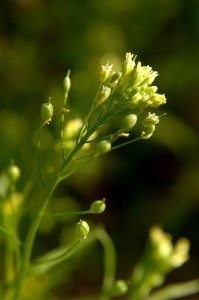 20120106-OC-AMW-0360
