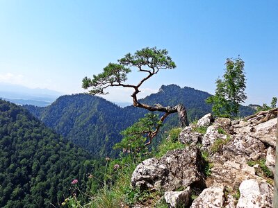 Way panorama nature photo