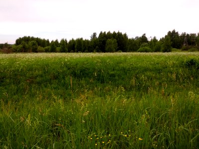 IMG 20130610 134807
