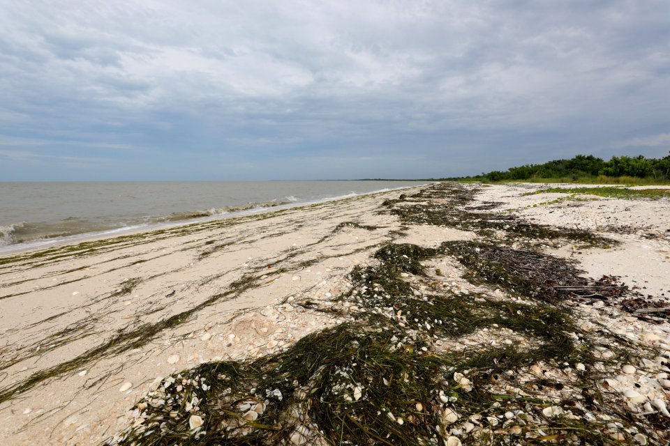 NPSPhoto M.Collier 2019 CS BeachClean EastCape (3)