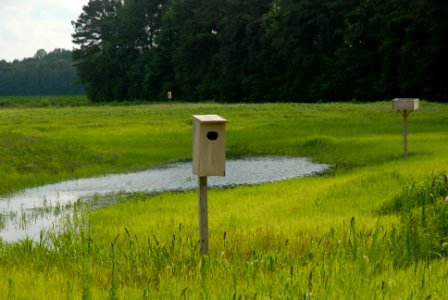 20120106-OC-AMW-0241