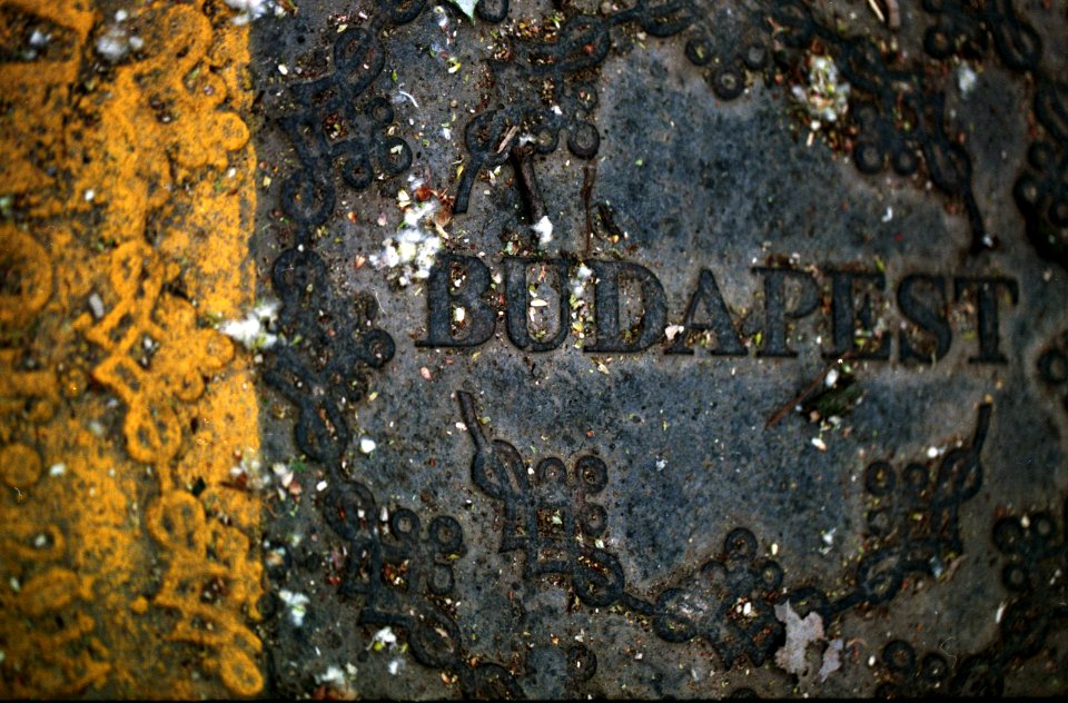 Budapest drain cover