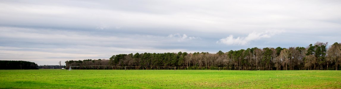 20151218-OC-LSC-0418