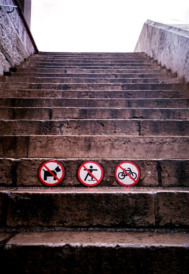 no dogs no skate no bike