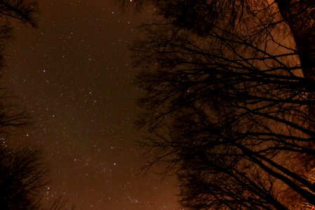 in the dark near Esztergom