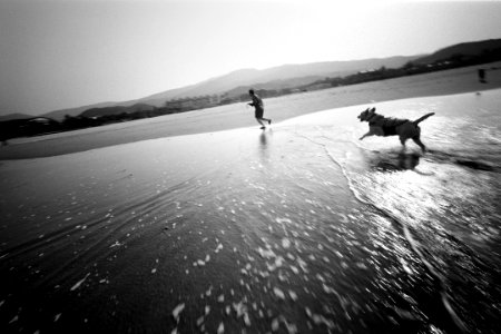 CC0-0071