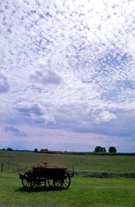 horse cart