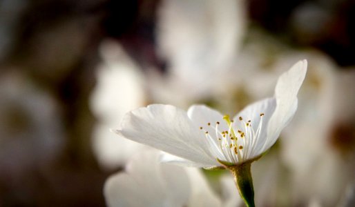 20120320-OC-LSC-0334