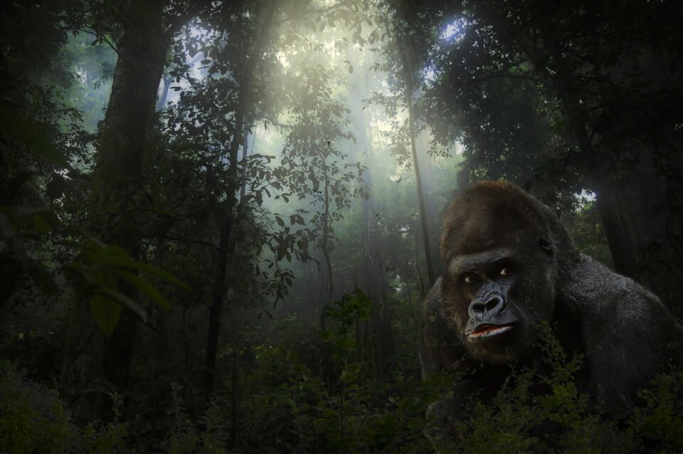 Mammal wildlife endangered