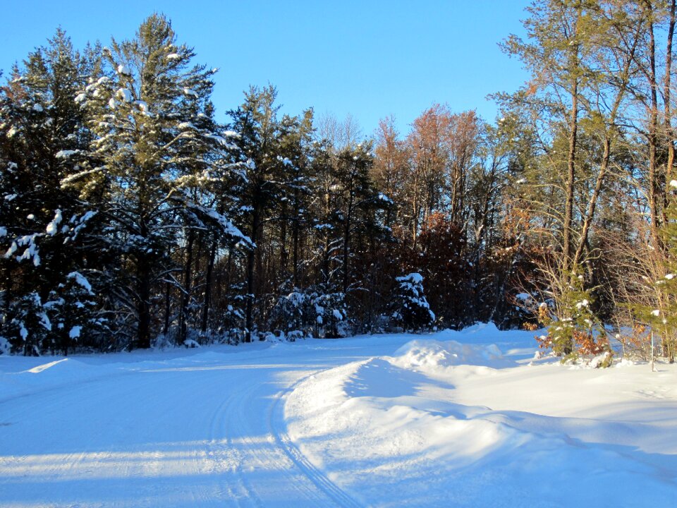 Country winter blue sky
