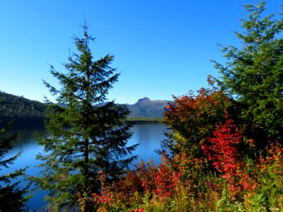 Coldwater Lake Trail in WA