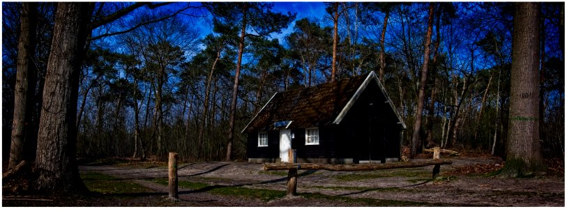 Cabin in the Woods photo