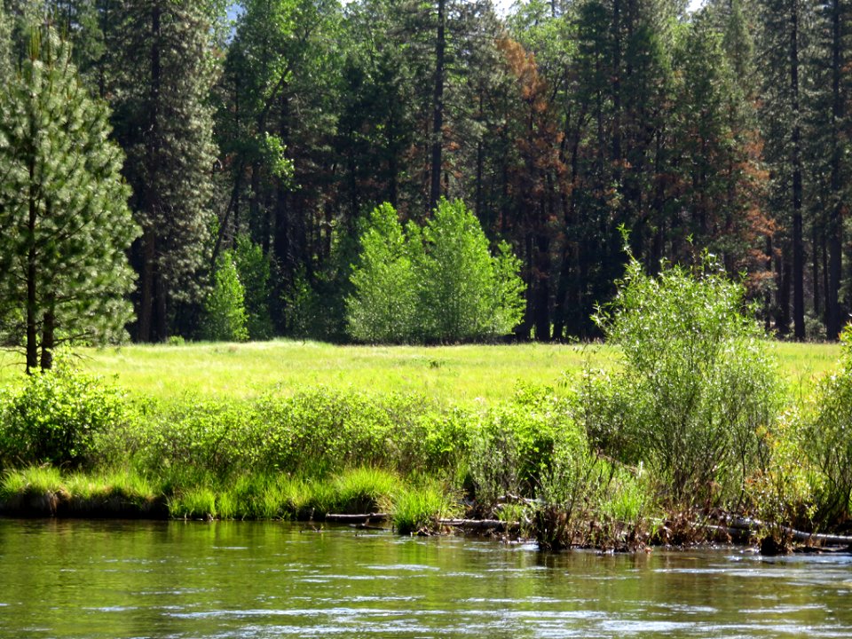 Merced River at Yosemite NP in CA